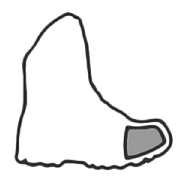 Hoe belangrijk is de neus van veiligheidsschoenen en werkschoenen?