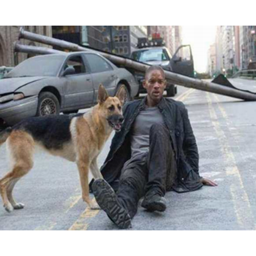 Францын зах зээлд хамгийн их борлуулалттай цэргийн гутлын онцлог юу вэ?