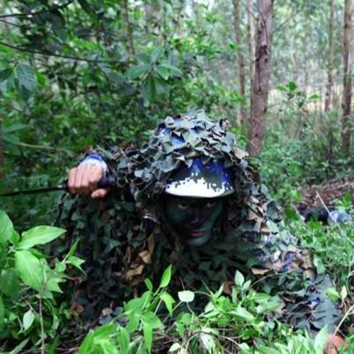 Cad iad na saintr&eacute;ithe at&aacute; ag na buatais&iacute; m&iacute;leata is m&oacute; d&iacute;ol i margadh na Malaeisia?