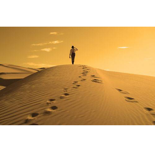 பாலைவன காலணிகளின் நிறம் மணலில் மட்டுமே உள்ளதா?