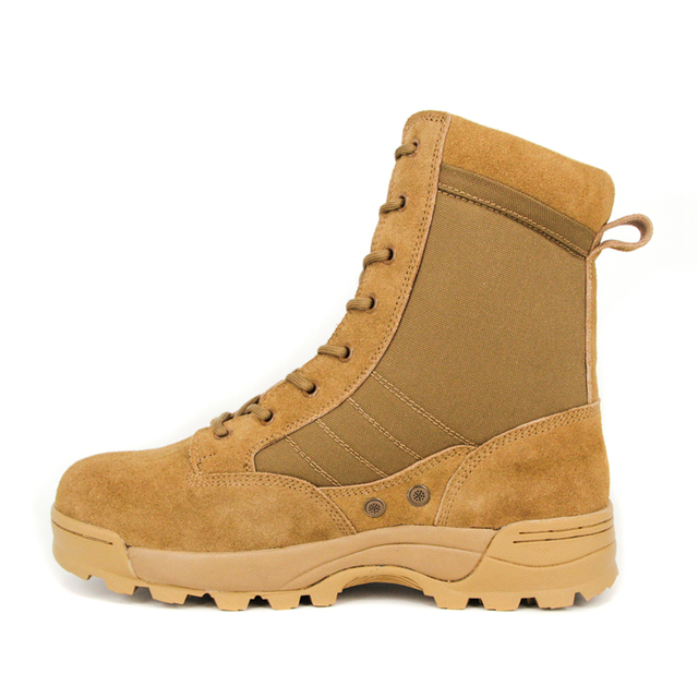 Moe seemisnahast Briti s&otilde;jav&auml;e k&otilde;rbesaabas 7247