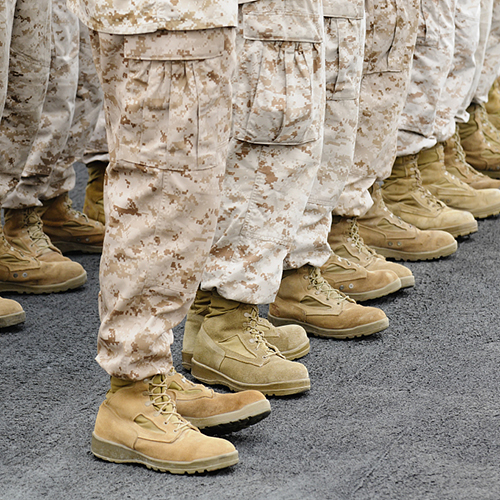 Buatais&iacute; m&iacute;leata gairmi&uacute;la agus faisin - buatais&iacute; Desert Milforce 7279