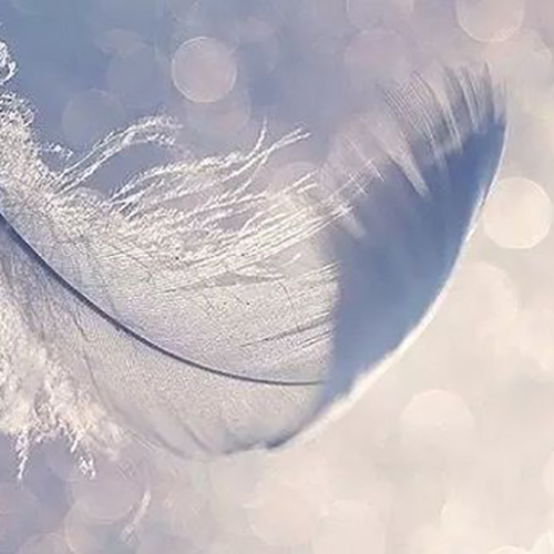 MILFORCE ၏ပေါ့ပါးသောစစ်ဘွတ်ဖိနပ် - 7276 သဲကန္တာရဖိနပ်များ