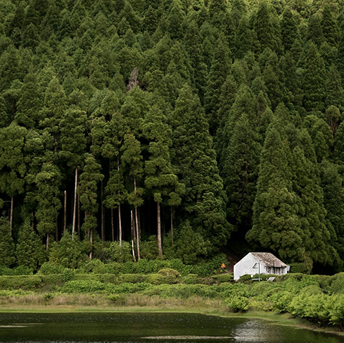 Amerikaanse marktstijl Ⅵ – Combat junglelaarzen