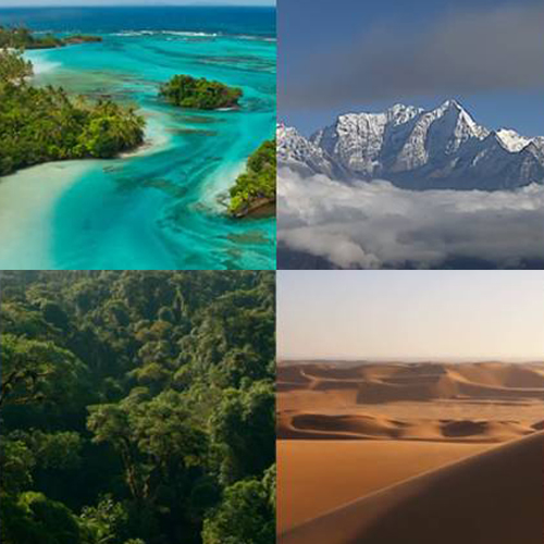 &Ccedil;far&euml; p&euml;rdorimi i &ccedil;izmeve t&euml; ndryshme ushtarake n&euml; mjedise t&euml; ndryshme?